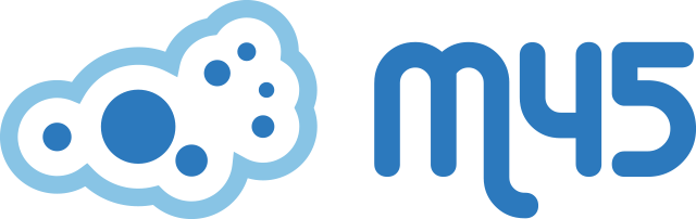 M45