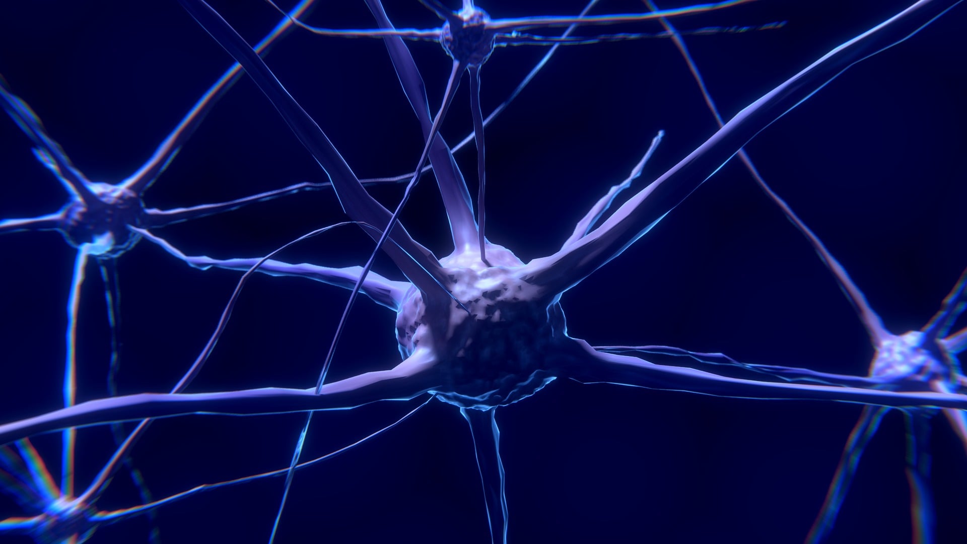 colin00b-nerve-cells-2213009_1920
